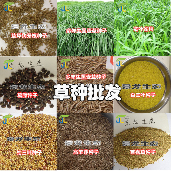 草种拼图.jpg