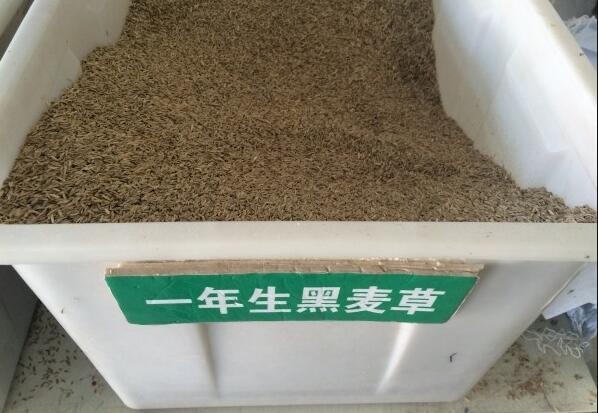 QQ截图20200429075214.jpg