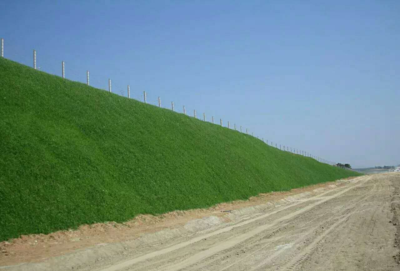 边坡绿化和园林绿化的区别